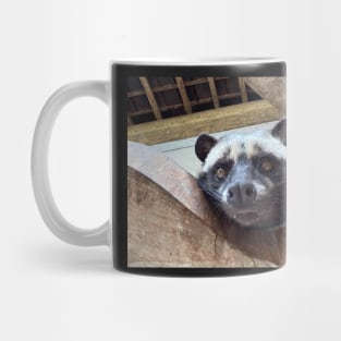 Raccoon Mug